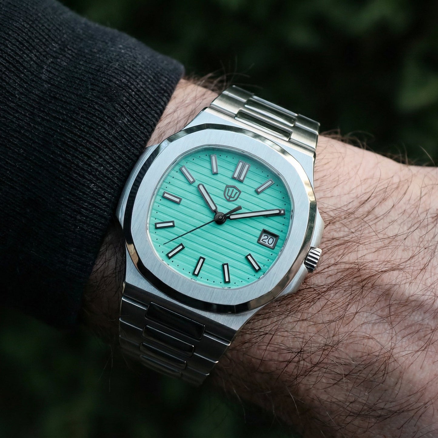 Watchdives WD0013B ETA HAQ F06.41 Men Watch