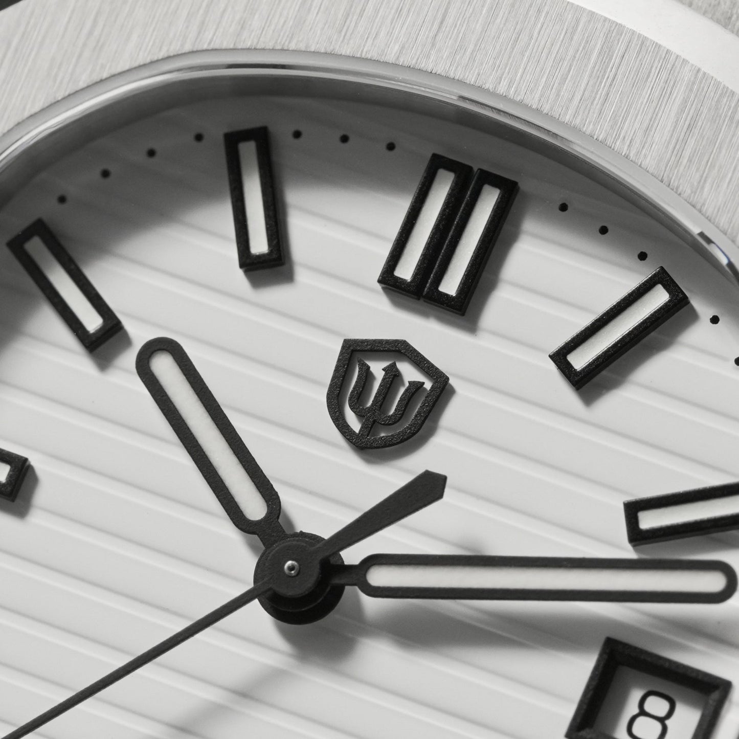 Watchdives WD0013B ETA HAQ F06.41 Men Watch