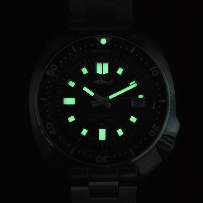 Titanium Turtle 6105 Diver watch