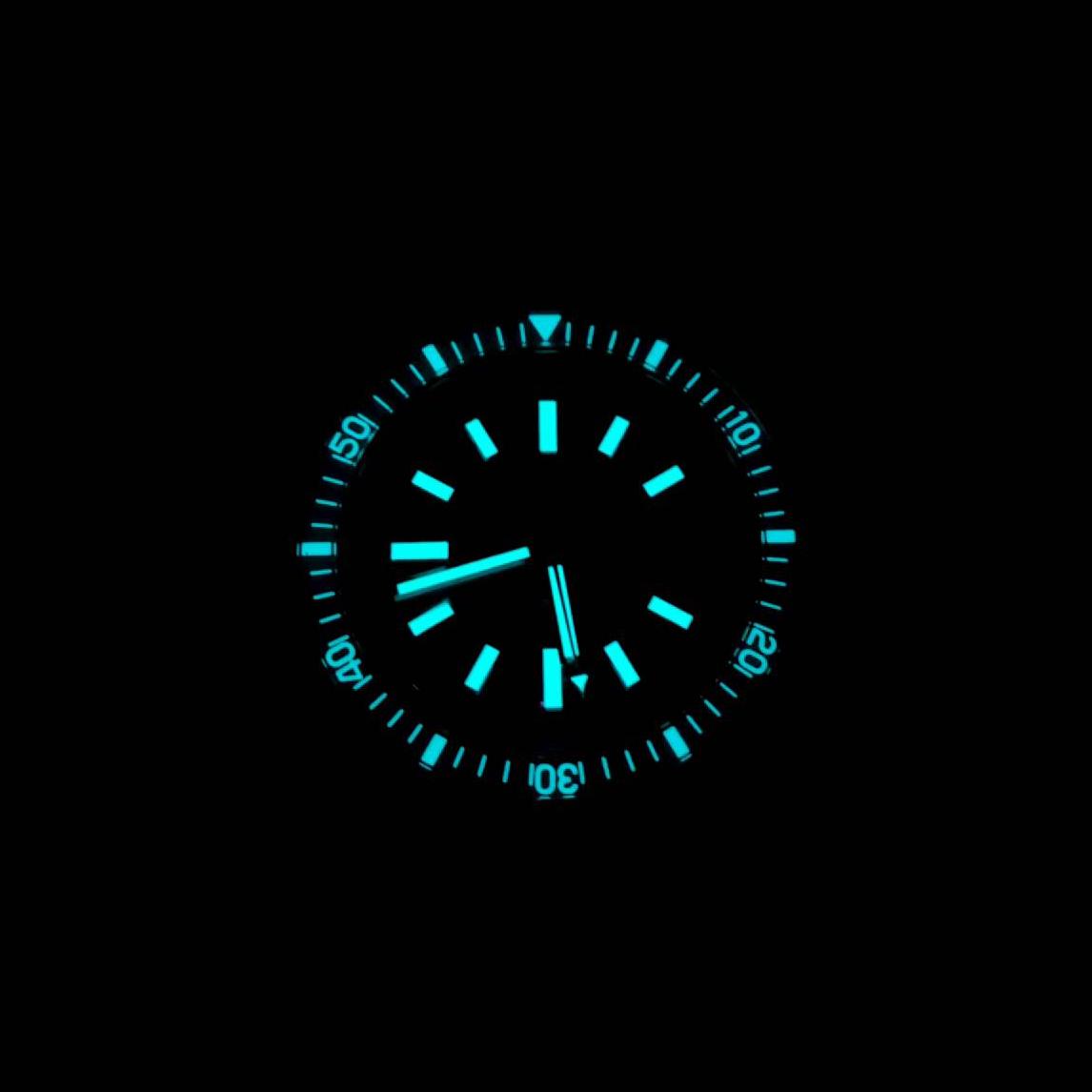 Hruodland 40mm Vintage Diver Watch F031