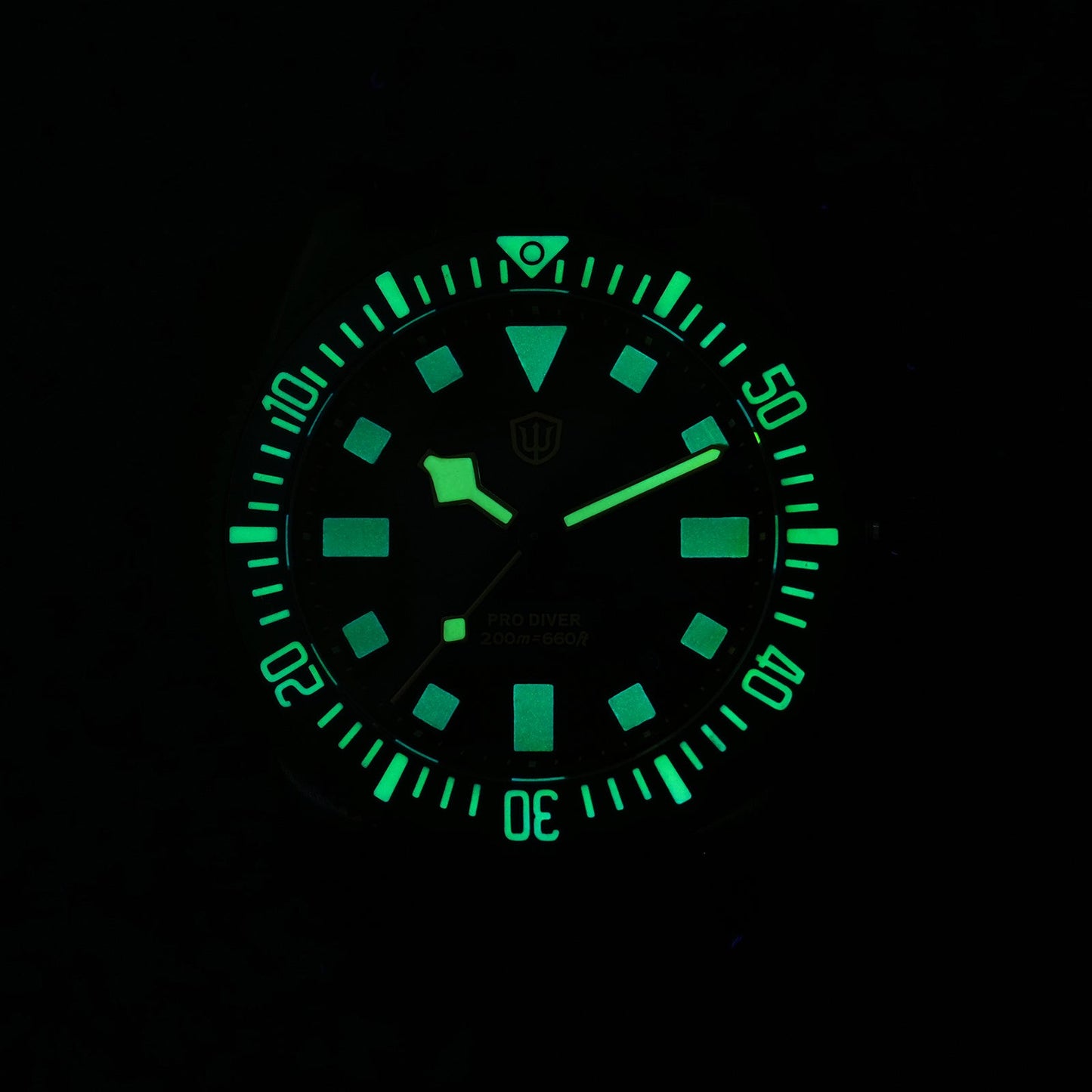 Watchdives 38mm EXD Titanium Diver Watch