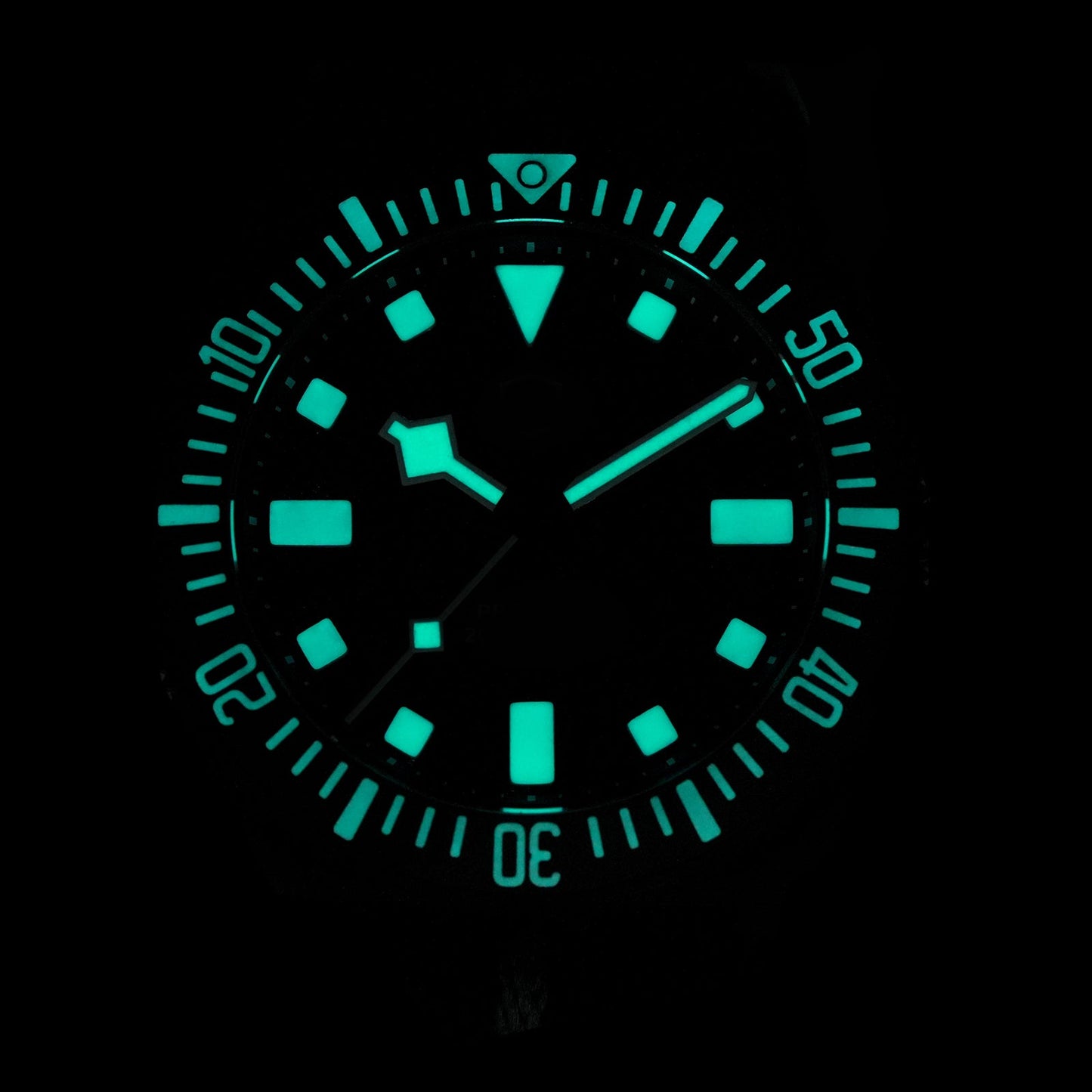 Watchdives 40mm EXD Titanium Diver Watch