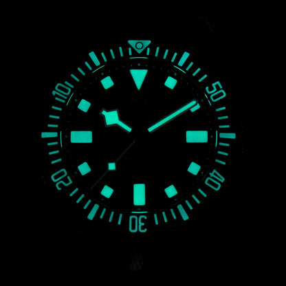 Watchdives 40mm EXD Titanium Diver Watch