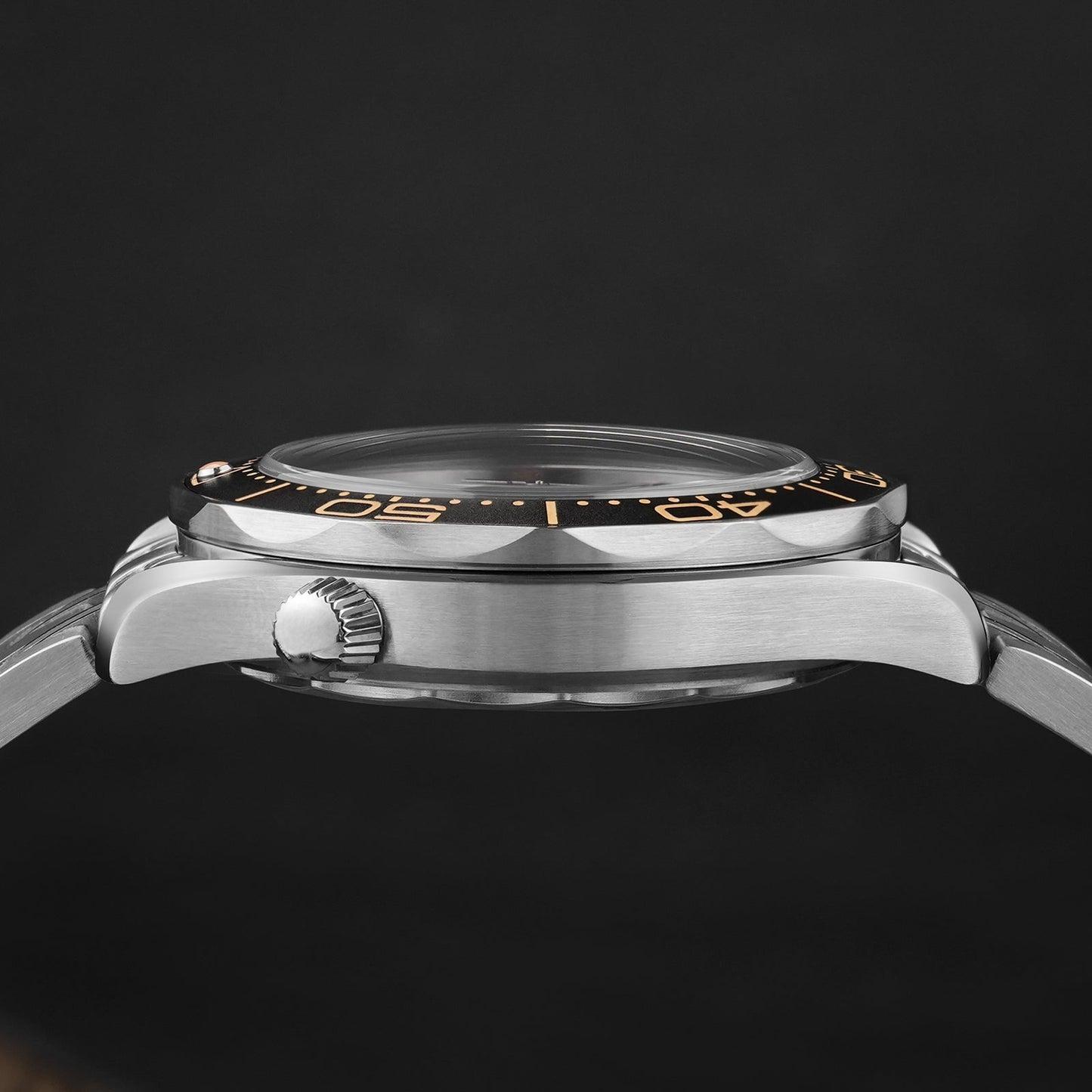 🔥WeeklyDeals🔥Watchdives WD007ST 39mm NTTD Dive Watch