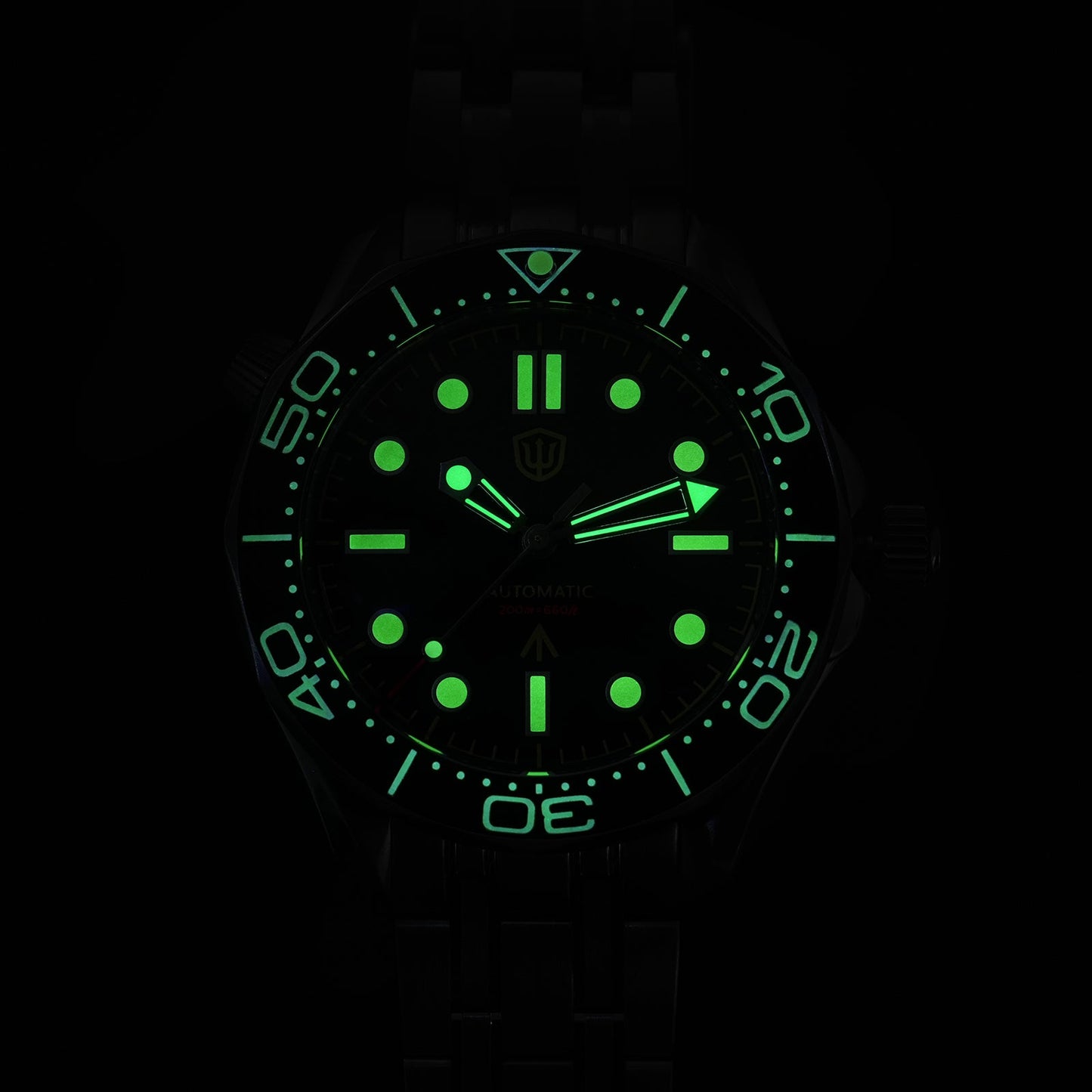 🔥WeeklyDeals🔥Watchdives WD007ST 39mm NTTD Dive Watch