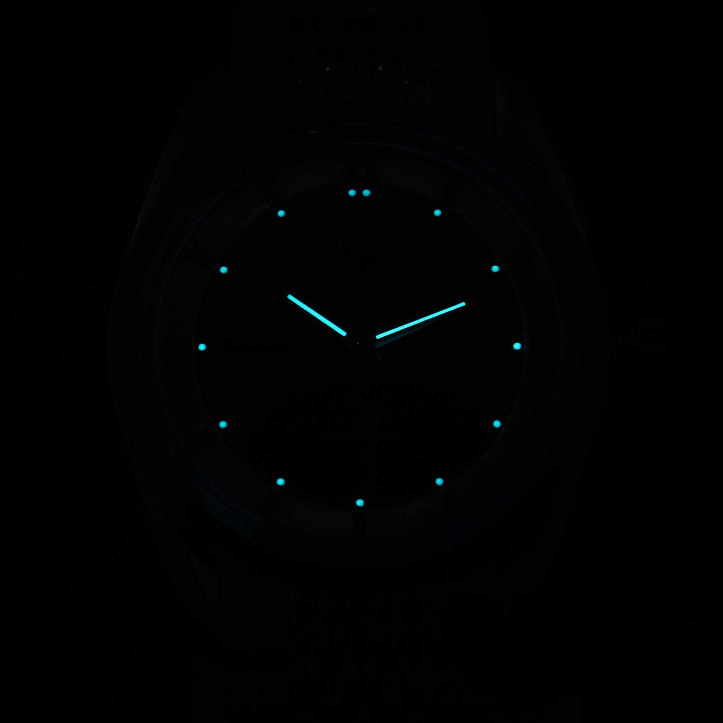 🔥EarlyBird🔥Watchdives WD1954 Arctic Classic 36mm VH31 Watch