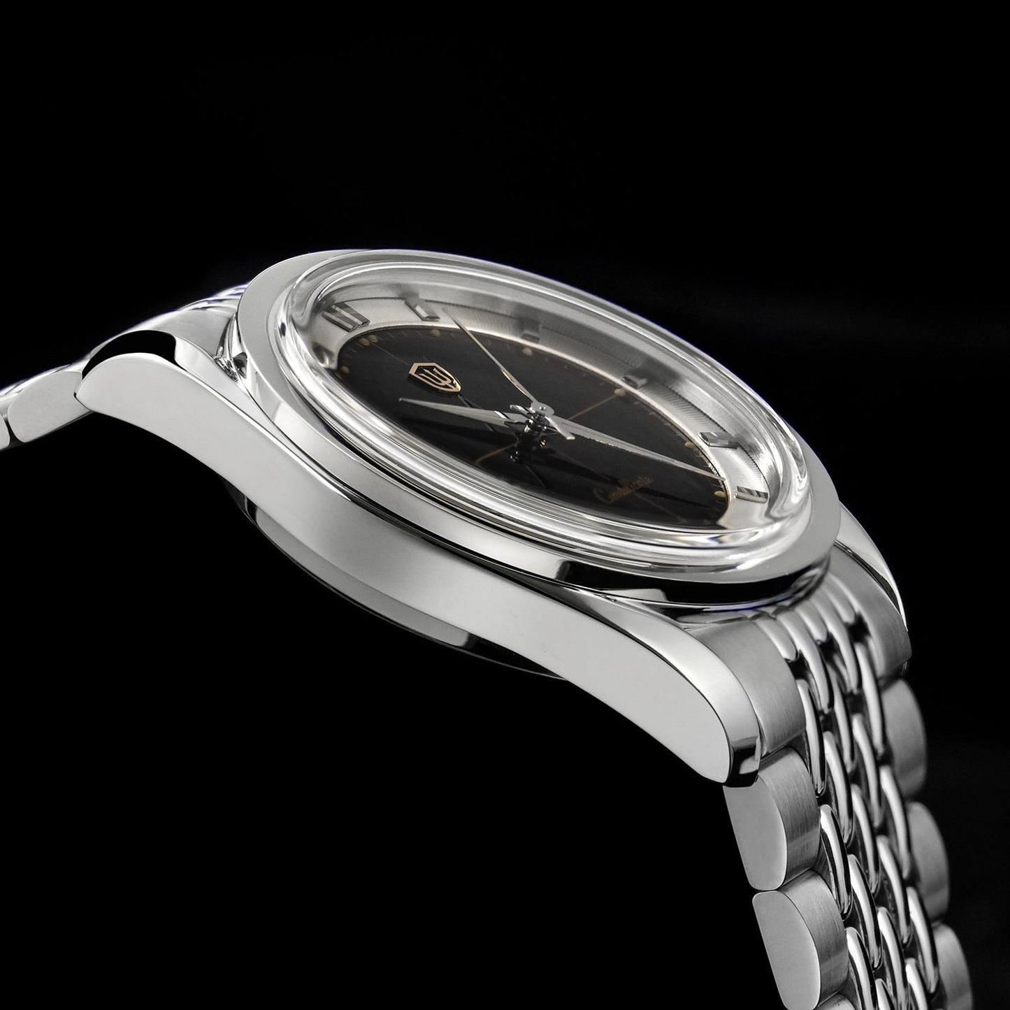 🔥EarlyBird🔥Watchdives WD1954 Arctic Classic 36mm VH31 Watch