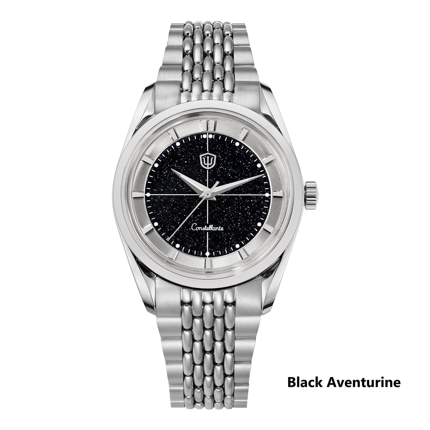 🔥EarlyBird🔥Watchdives WD1954 Arctic Classic 36mm VH31 Watch