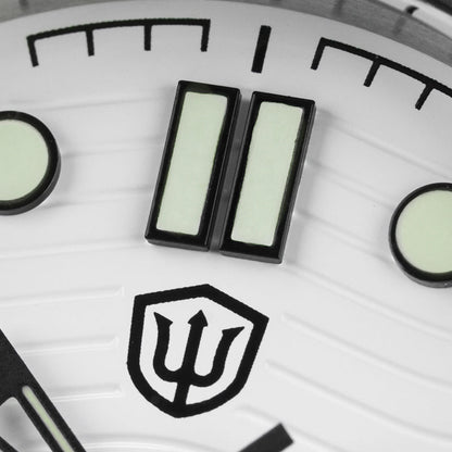 🔥WeeklyDeals🔥Watchdives WD007ST 39mm NTTD Dive Watch